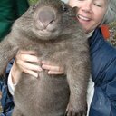 Gustavson David - @GustavsonDavid - Twitter