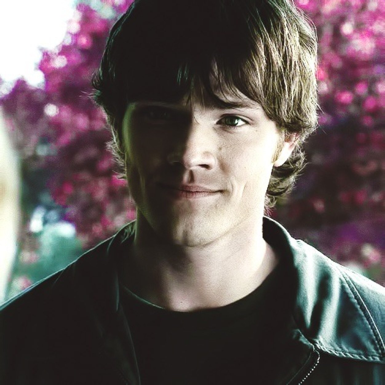 i want the d................estiel (free follow ✿)