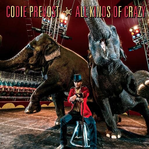 Music is life! My favorite artist is @codieprevost Watch/listen to Codie https://t.co/6rQvMroqQy Join Codie's website mailing list & get a free download