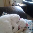 Paula Davison - @pauladavison25 - Twitter