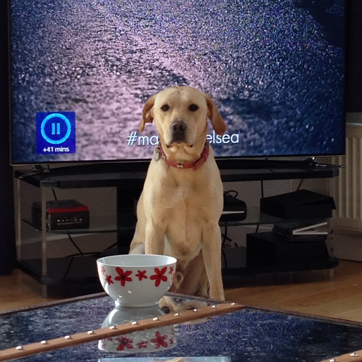 wrdlynn's profile picture. 