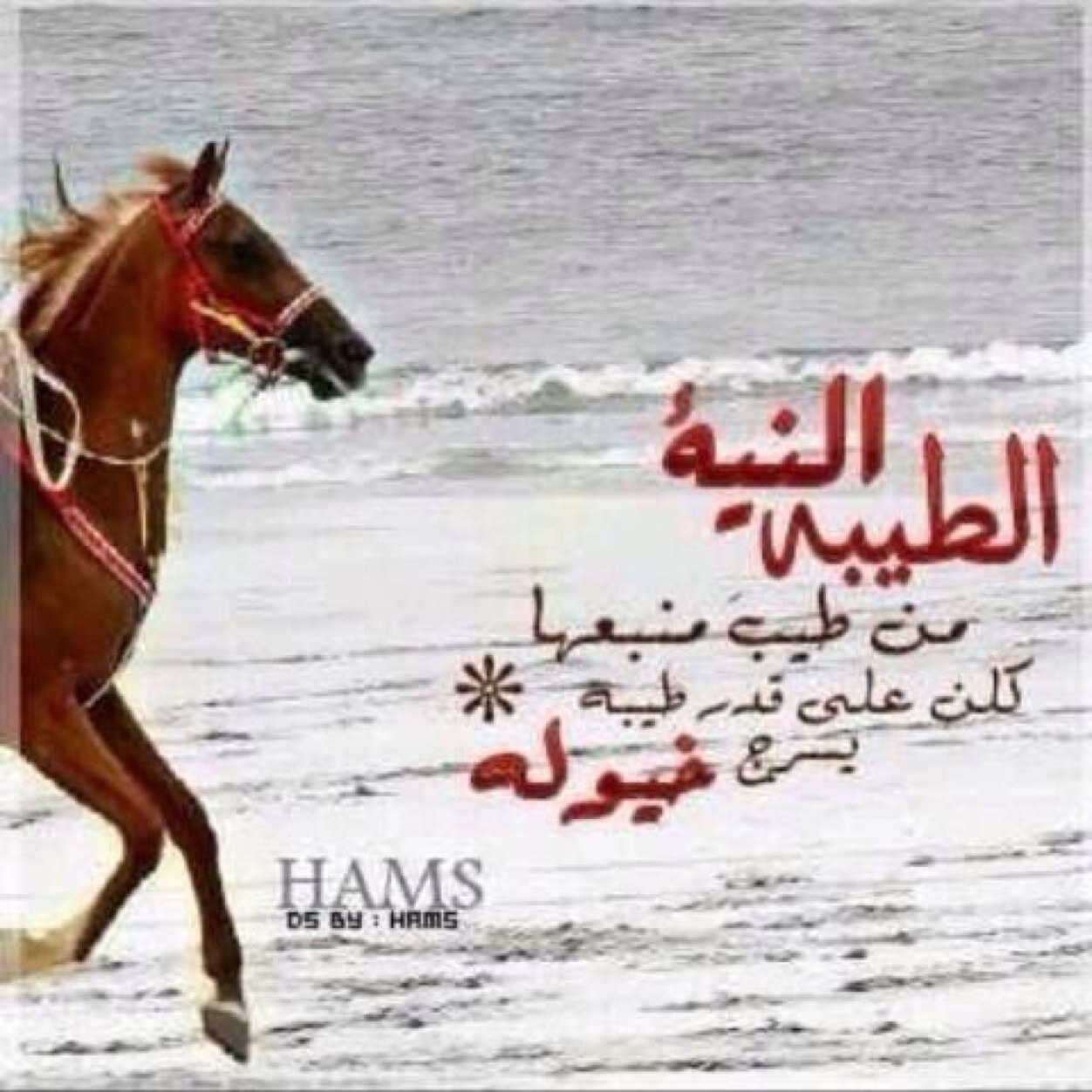 USER73439759's profile picture. 