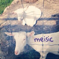 めいじっく💎らりねっと！ (@meisic) 's Twitter Profile Photo