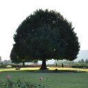 Arunjit Singh - @arunjit - Twitter