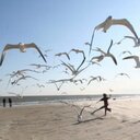 ..نهايه الشهابي.. (@0123_sea) Twitter