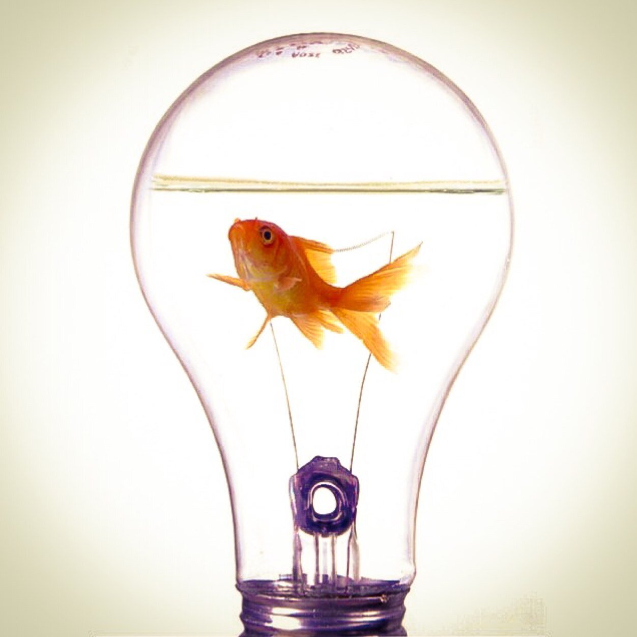 dmyamaki's profile picture. Silicon Valley-raised, Miami-based. Film & commercial production. Pro Tools Certified. Currently at Sony Music US Latin *All posts and views shared are own*