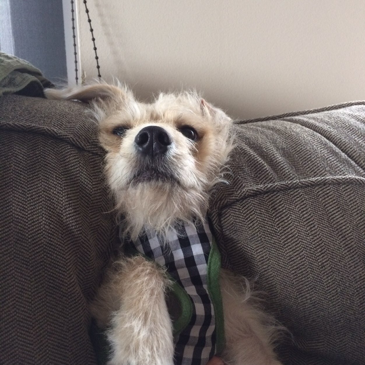 eforfa's profile picture. 