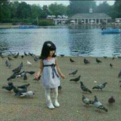 زيري