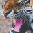 Albada9's profile image