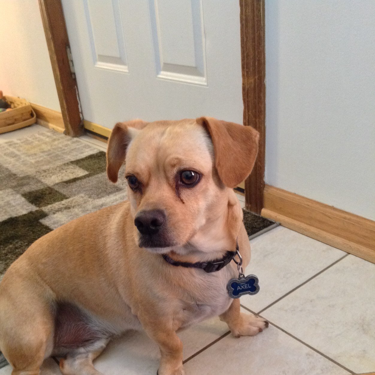 zealousreform's profile picture. 