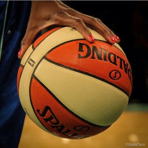 Come Celebrate the Womens game. Follow us, we follow back!