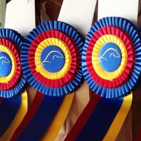 Brandywine Valley Summer Series is a premier horse show that will be held 6/24-7/6 with the East Coast US Jr. Hunter National Championship on 7/7 & 7/8.