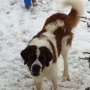 BrandonKelly78's profile picture. 