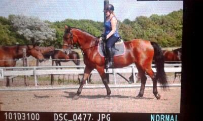 love is the most beautiful thing that you can get/binky/best friens w melissa/heiloo/clusius castricum