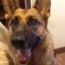 aaron pratt - @aaronpratt14 - Twitter