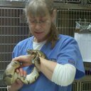 Beth Lannon - @BethLannon - Twitter