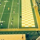 Vols fan,