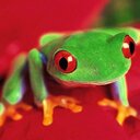 maite ugalde - @Maiteugalde11 - Twitter