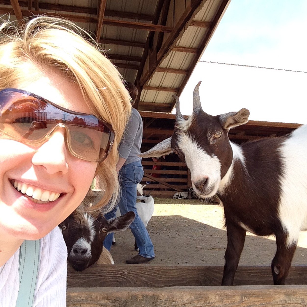 maureen_g's profile picture. Introverted but willing to discuss cats.