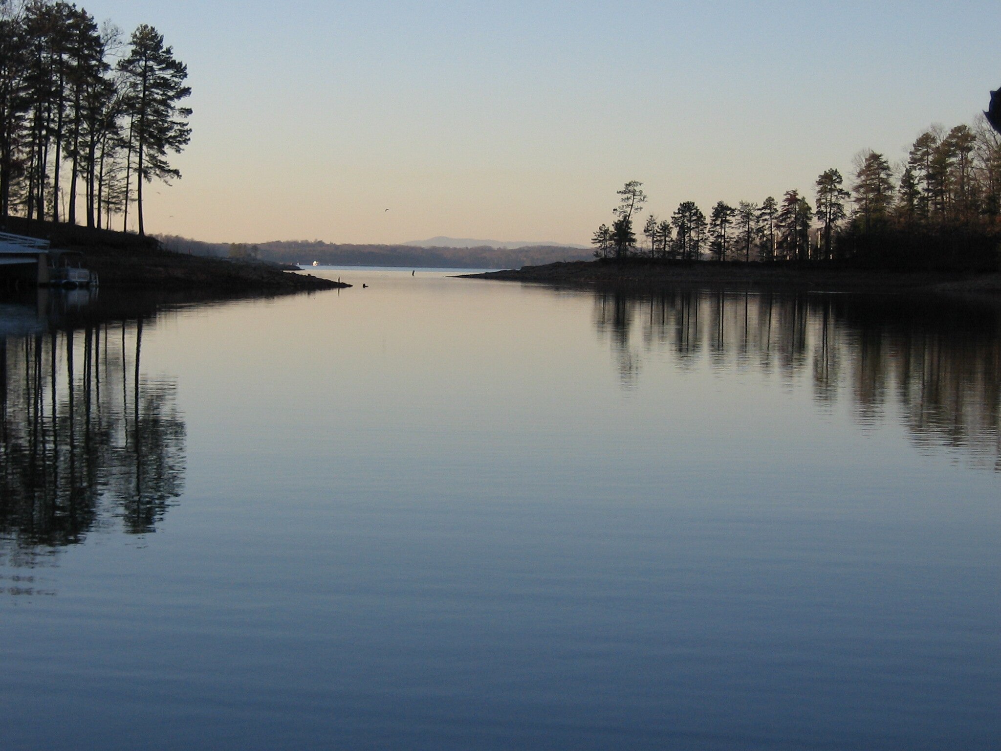 LanierLake's profile picture. Living lakeside at Lanier.
