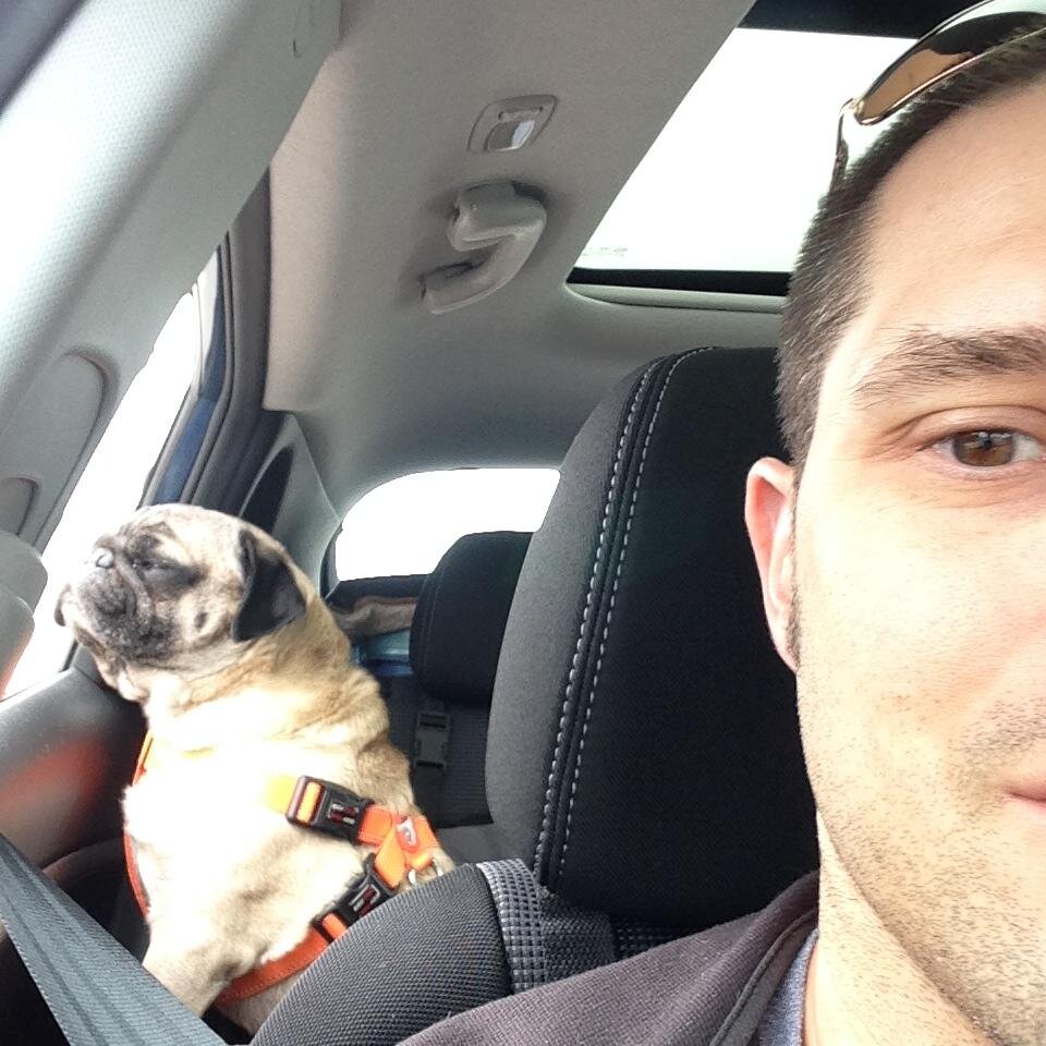 noreallydude's profile picture. Random thoughts from someone with nothing to say