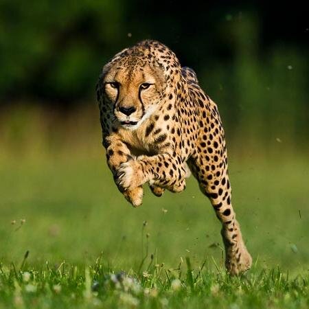 MalitJudge's profile picture. 