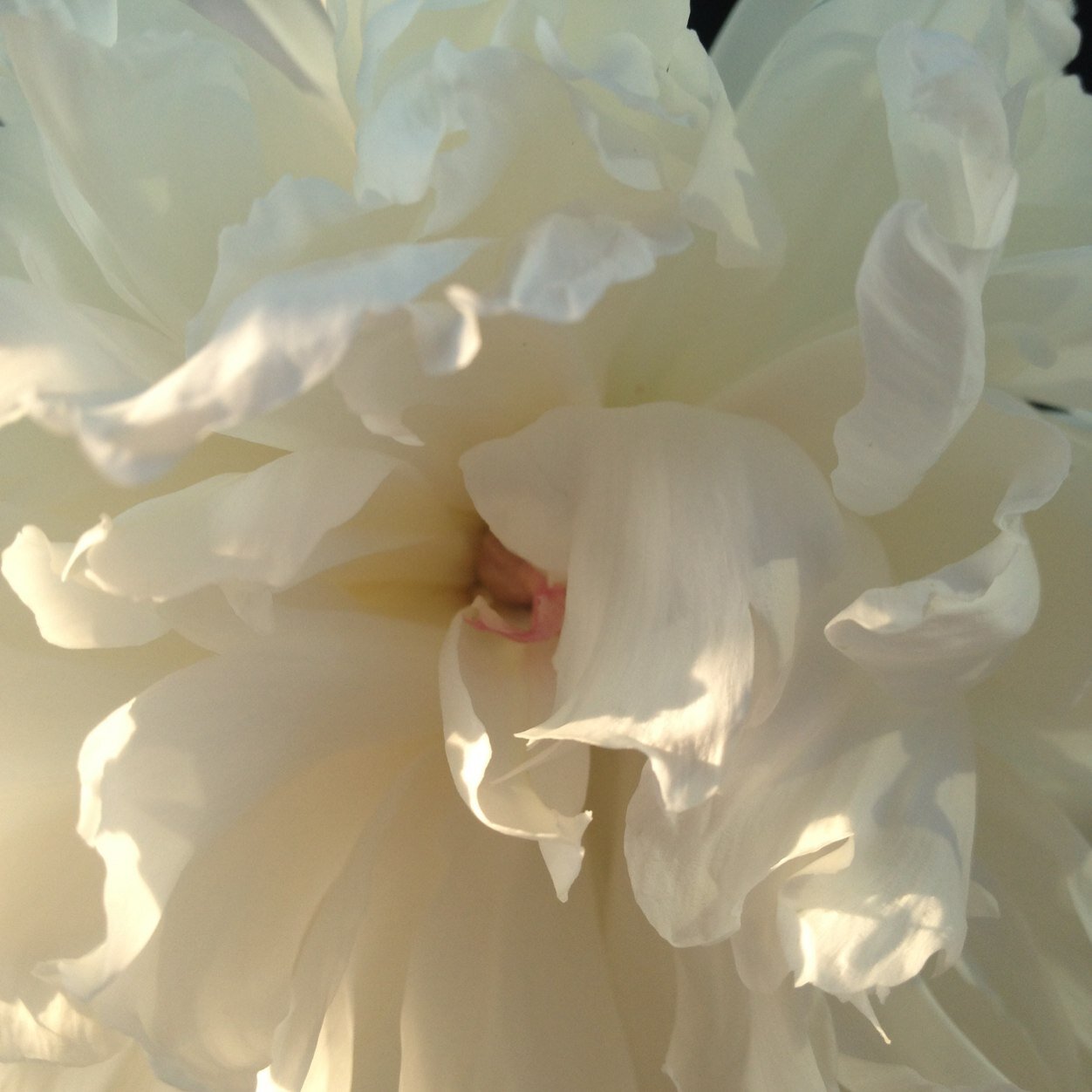 Being deeply loved by someone gives you strength, while loving someone deeply gives you courage. Lao Tzu