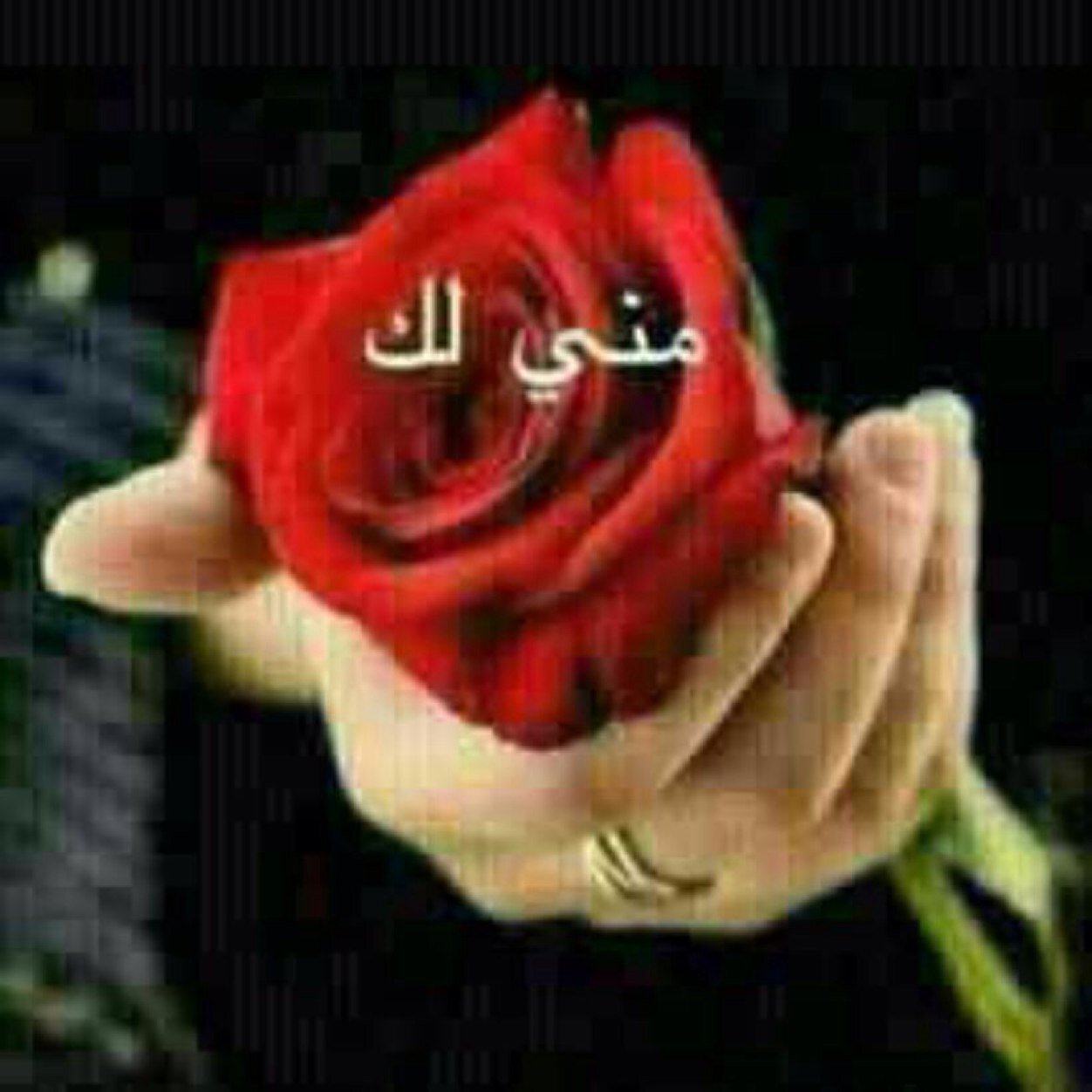اهلًا وسهلا بكل الأصدقاء
