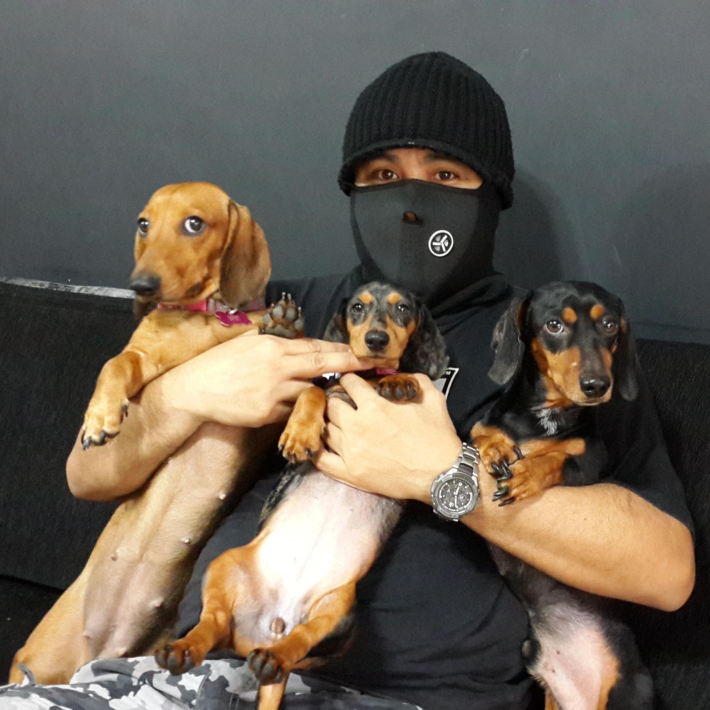 AgustinJorge007's profile picture. 