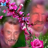 joeltailleur (@joeltailleur) 's Twitter Profile