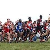 thatrunnerbro9's profile picture. I run because I love to run