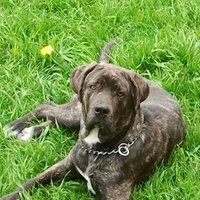 @SevonneR (@sevojr11) 's Twitter Profile