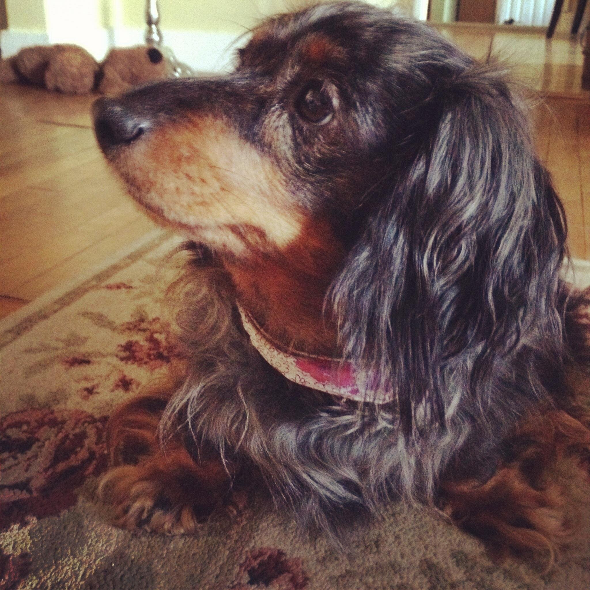 CarsonMitch25's profile picture. I'm Carson Mitchell. 25 / Canada