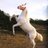 DawnLawhorn's profile image