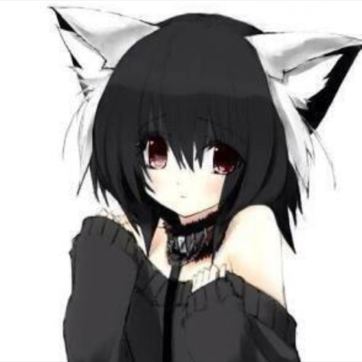 I am a DJ from Adelaide, Australia. I have a twin sister, Kaley, that I ❤️ to death. I was born in Australia but i am also English and Italian. I ❤️ WOLVES!