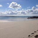 Pam Roe - @RoePam - Twitter