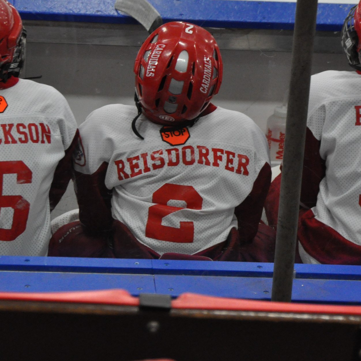 reisdol's profile picture. 