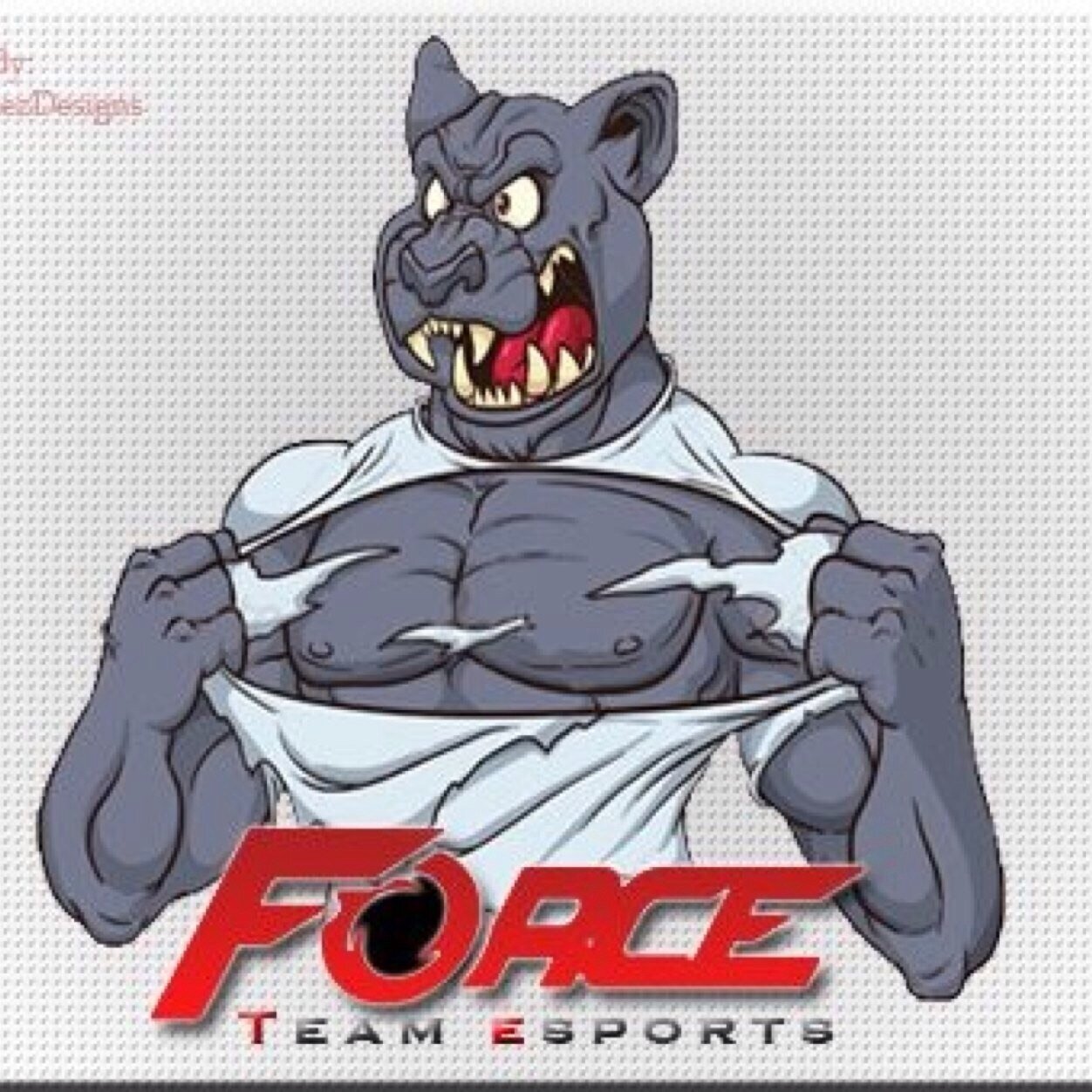 Comepetitive player for @Force_TM | 14 | #GreenWall | Call of Duty | Video Games :) | Follow my teammates! @Force_Hvmblee | @ForceDviL | @ForceSvperty | PR | 愛