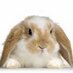 hase282 (@hase282) Twitter profile photo