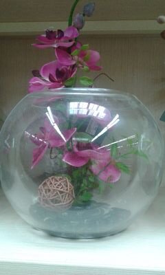 kristyna972's profile picture. 