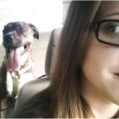 chonillacino's profile picture. 