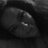 Storminmysoul's profile image