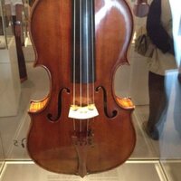 Celia Cobb (@celia_cobb) 's Twitter Profile