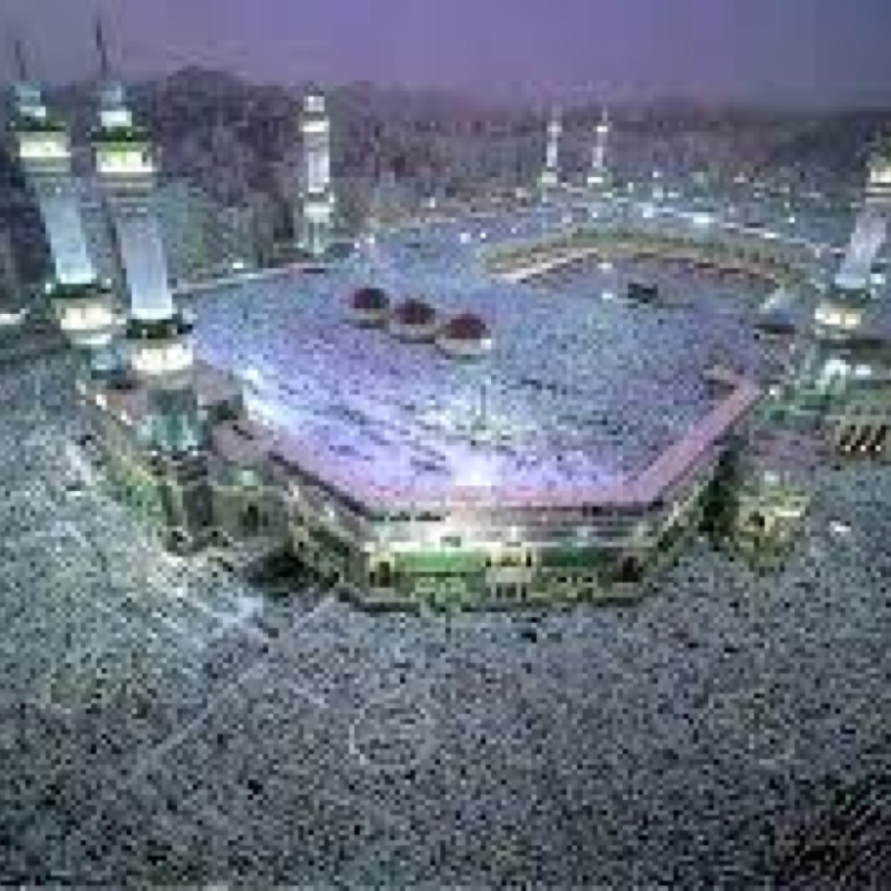 256Noor's profile picture. 