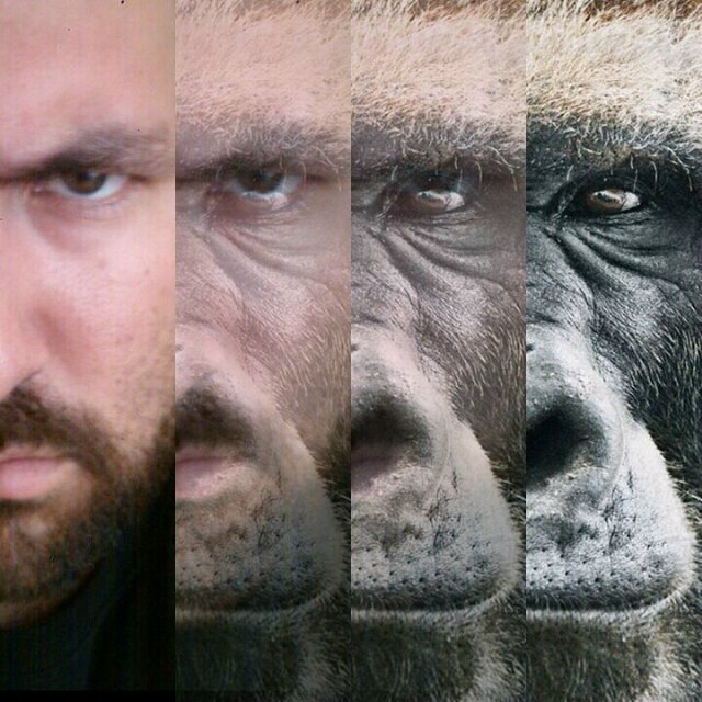 M16V37's profile picture. Guasave, Sinaloa