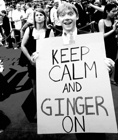 tallgingerlife's profile picture. Spreading the redhead revolution one follower at a time. Share the word, save the gingers. We follow back. #nosoul