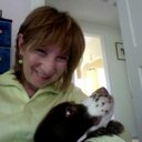 Paula Gillespie - @GillespiePaula - Twitter