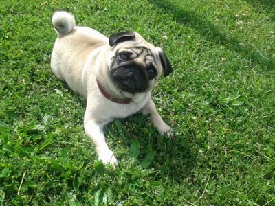 FerroDomenica's profile picture. Ama sempre più forte e nn fermarti