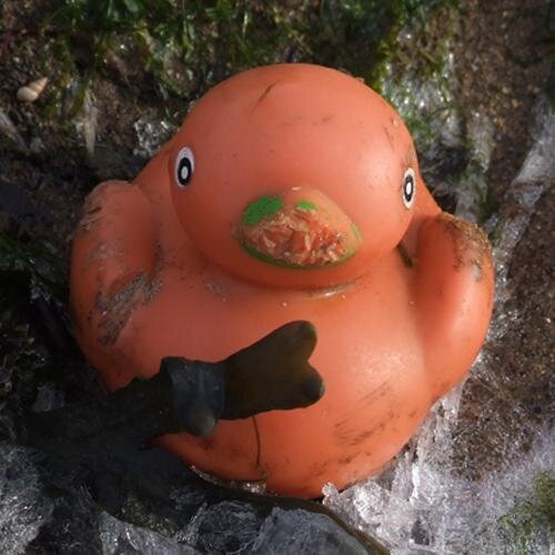 thiefotime's profile picture. One day only the starlings will remember the old songs. Born at 331.92ppm.