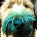 Emma Hogan - @EmmaMalone01 - Twitter